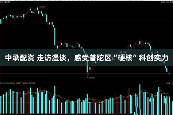 中承配资 走访漫谈,感受普陀区“硬核”科创实力